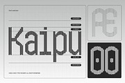 Lexicaline, a Sans Serif Font by graphicook (Thumbnail 5 of 10)