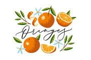 Oranges, Flowers and Leaves., a Food Illustration by dv_illustration (Thumbnail 1 of 3)
