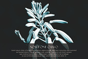 Convo, a Font by riotama85 (Thumbnail 4 of 5)