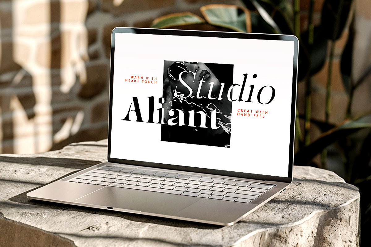 Mulich Serif Display | 18 Fonts, a Serif Font by Skinny Type (Photo 7 of 15)