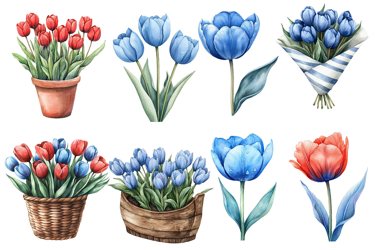 Amsterdam Summer Tulips Clipart, an Illustration by Designworld (Photo 5 of 6)