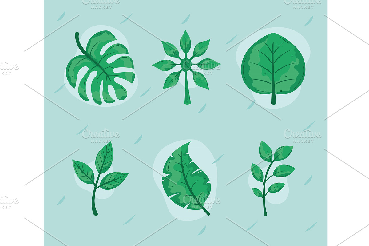 six nature and botanical icons, an Illustration by studiogstock