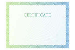 Certificate253