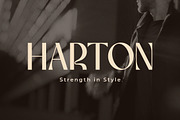 Effyra - Classy Stylish Font, a Serif Font by Randi Irvan | Rvandtype (Thumbnail 4 of 12)