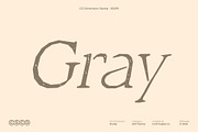 CS Dimension Stamp, a Serif Font by Craft Supply Co. (Thumbnail 2 of 8)