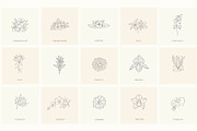 Botanical Hand Drawn Designs, Logos, a Seasonal Illustration by Designwork (Thumbnail 2 of 22)