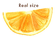 Watercolor Spicy Orange Set, a Decorative Illustration by WBS Design (Thumbnail 5 of 5)