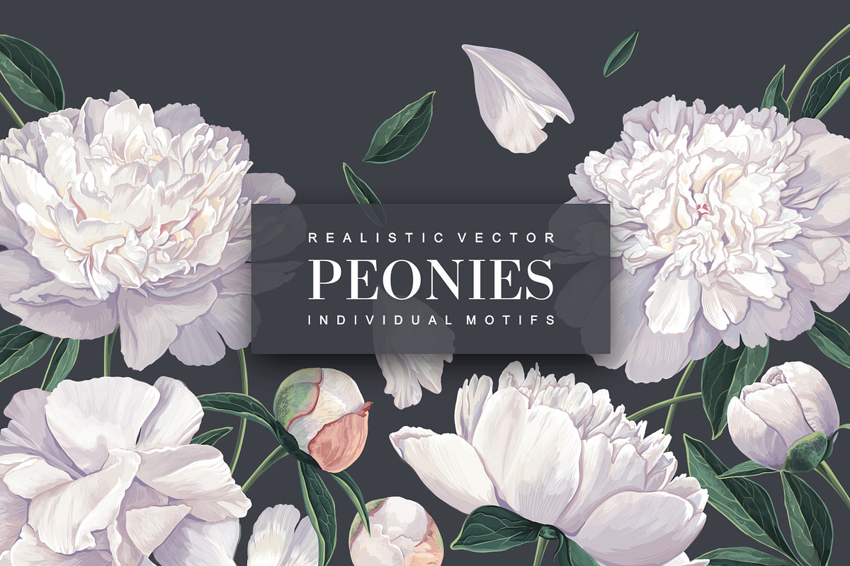 White Realistic Peonies Set, a Decorative Illustration by MarynaPetrovska (Photo 1 of 16)