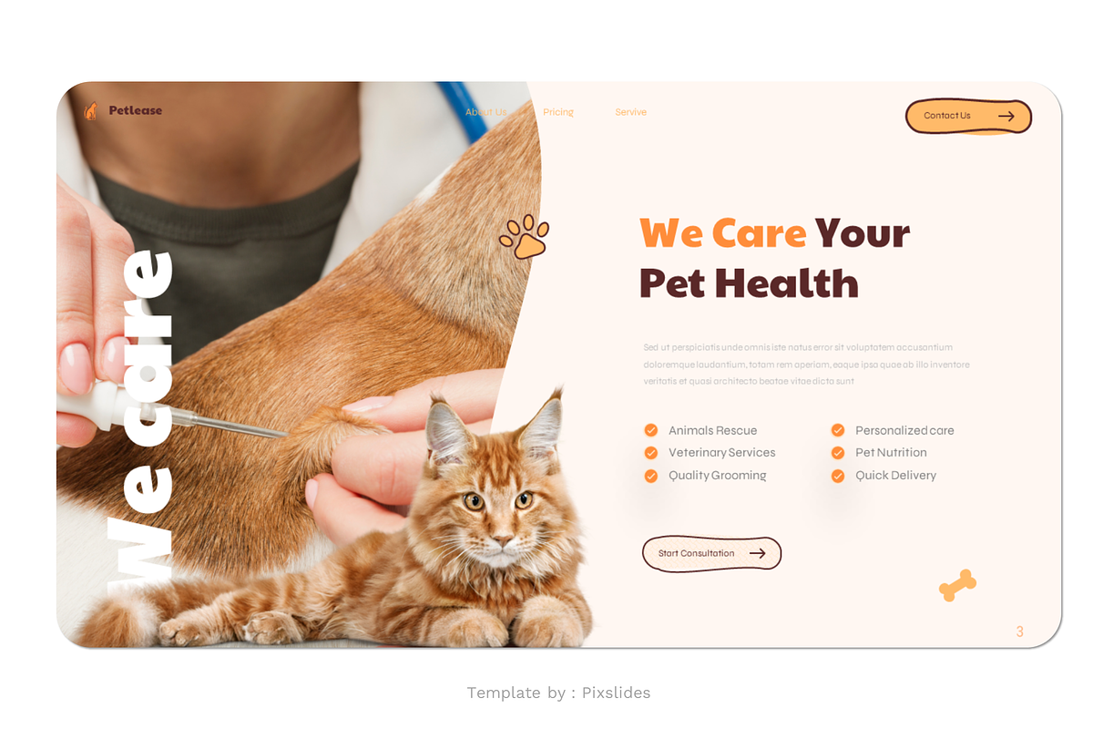 Pet Care Services PowerPoint, a Presentation Template by Pixslides (Photo 5 of 6)