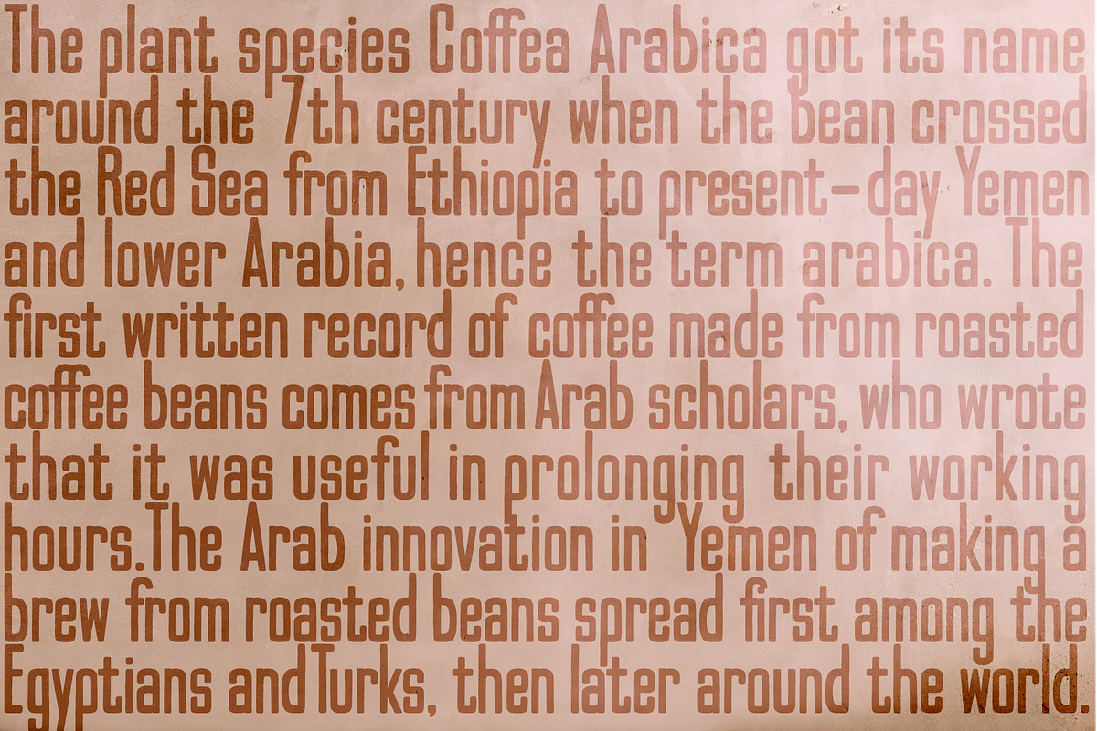 Kaldi Font Family, a Sans Serif Font by Hemphill Co (Photo 11 of 14)