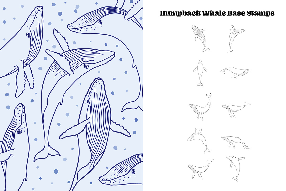 Whale Creator: 100 Procreate Brushes, a Brush Add-On by Pencil Twist (Photo 3 of 11)