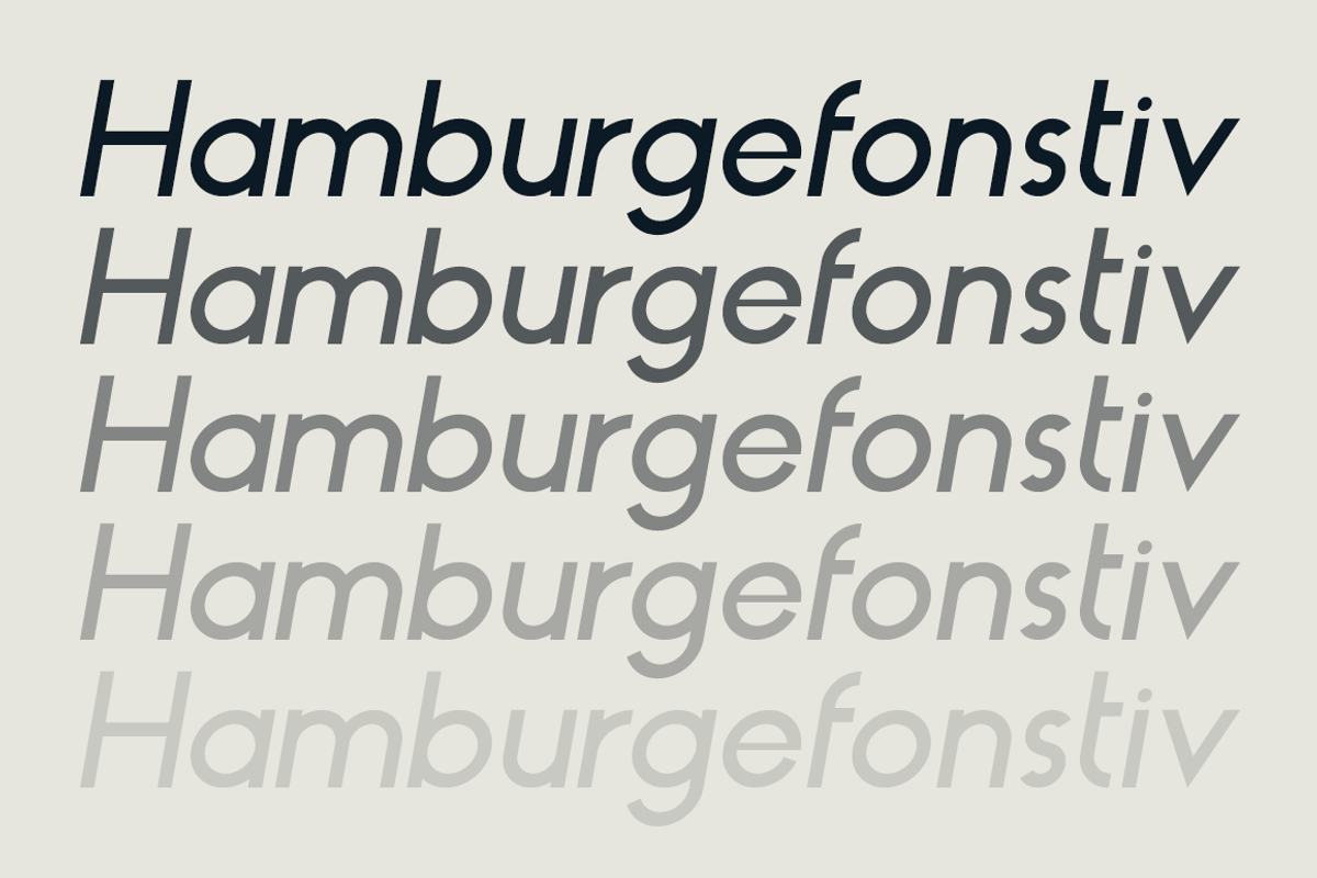 HAUS Sans Medium preview 3