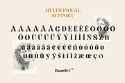 Elika Gorica, a Serif Font by Damelev (Thumbnail 11 of 11)