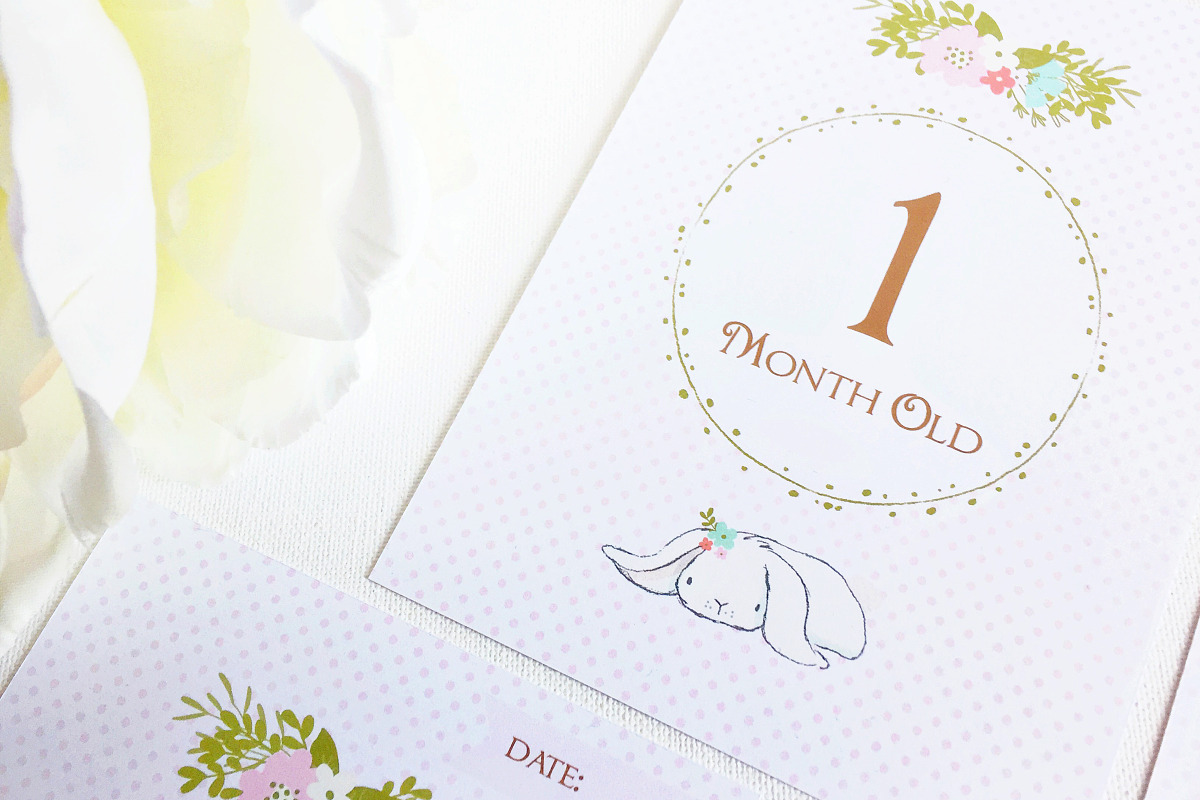 Bunny Baby Milestone and Month cards, a Card Template by ThePaperOwl (Photo 3 of 4)