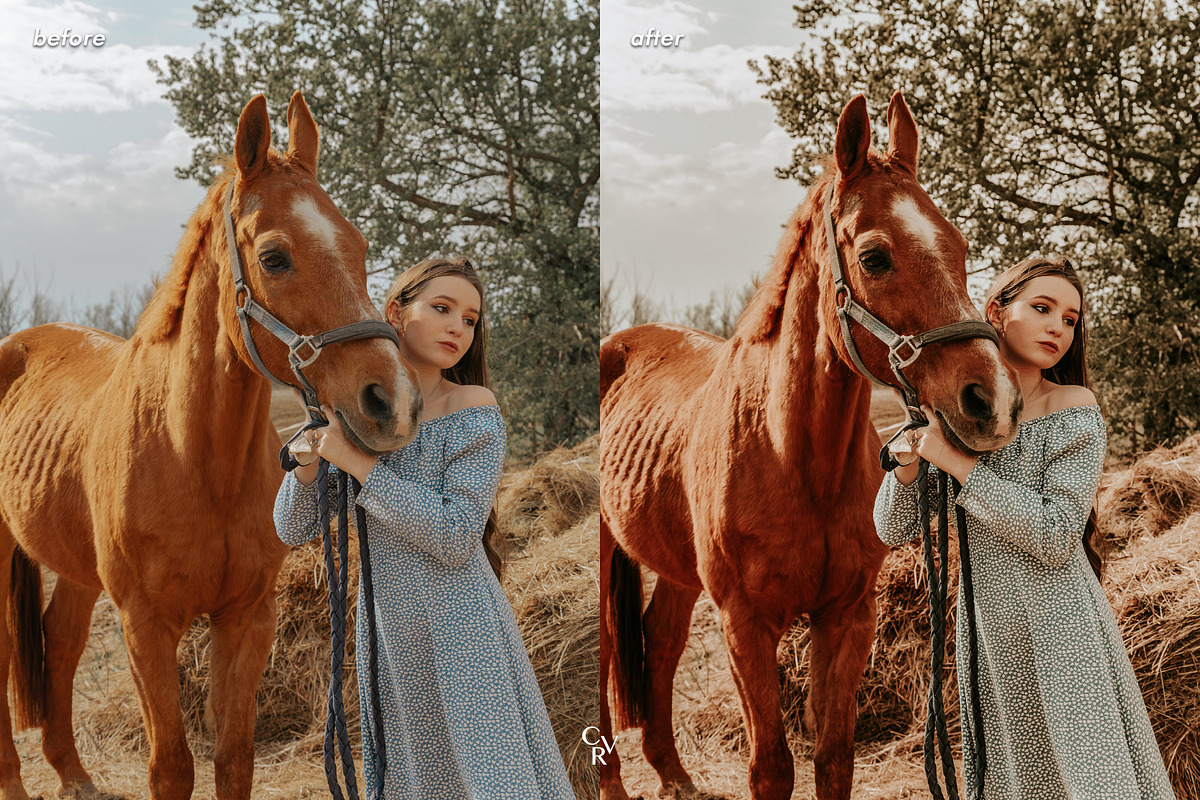 10 Rustic Lightroom Presets, a Preset Add-On by CVR Presets (Photo 7 of 7)