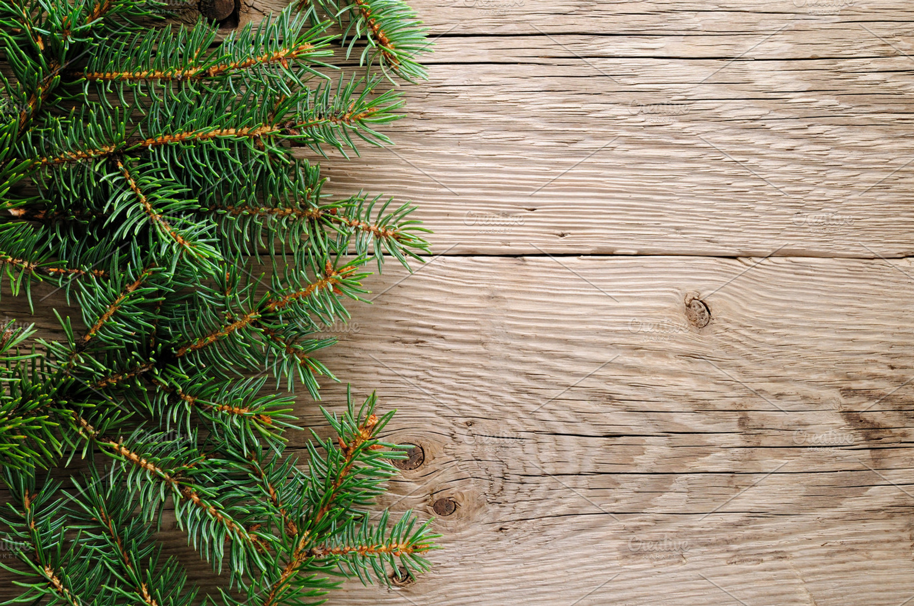 Spruce branches stock photo containing christmas and tree