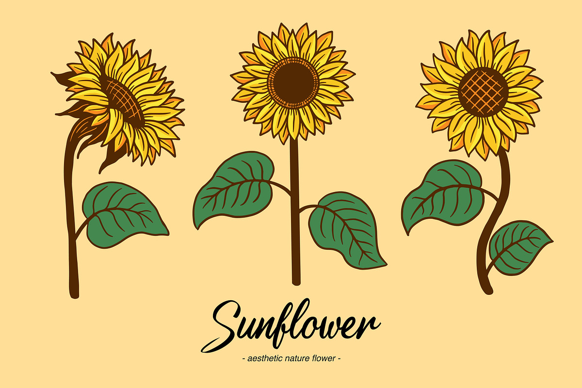 15 Set Sunflower Sunshine Clipart, an Illustration by Morspective (Photo 2 of 7)
