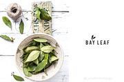 Logo Pack Volume 9. Kitchen, a Branding & Logo Template by Mint Air Studio (Thumbnail 17 of 21)