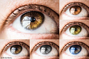 Beauty Kit - 50 Lightroom Brushes, a Plug-in Add-On by The Preset Factory Ltd. (Thumbnail 8 of 10)