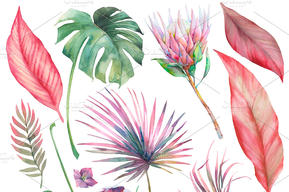 Blooming jungle, an Object Illustration by Eisfrei (Photo 3 of 5)