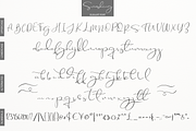 Smashing, a Script Font by Larin Type Co. (Thumbnail 11 of 11)