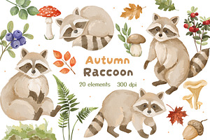 Watercolor Raccoon Clipart PNG