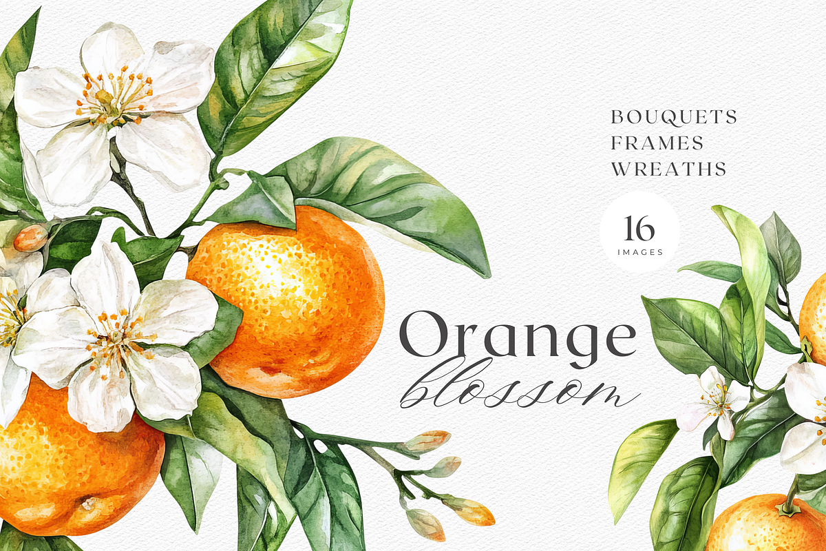 Orange Blossom - Watercolor Set, a Decorative Illustration by ThaismotaCreativeCo (Photo 1 of 9)