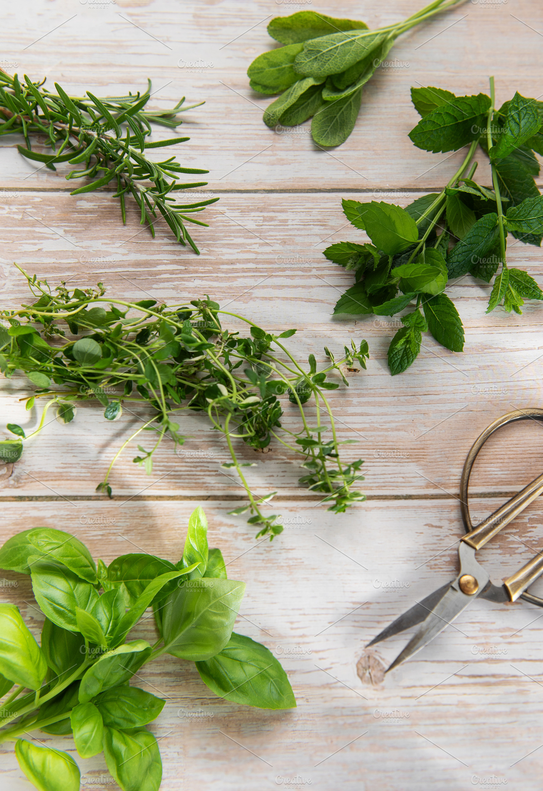 Fresh herbs collected on rustic wooden background, a Food & Drink Photo by Olena Rudo