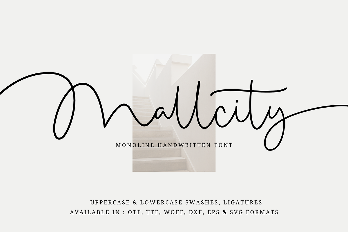 Mallcity - Monoline Script, a Script Font by Sronstudio (Photo 1 of 14)