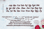 Amiable Forsythia Font, a Script Font by Letterhanna Studio (Thumbnail 19 of 19)