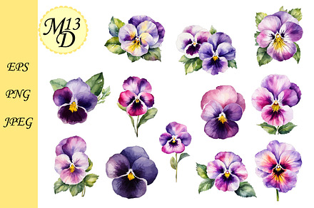 Set of 12 watercolor pansy