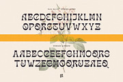Fairy Spirit, a Font by Ivan Rosenberg (Thumbnail 14 of 14)