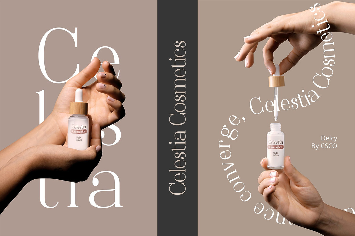 Delcy – Elegant Serif, a Font by Craft Supply Co. (Photo 5 of 8)