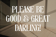 Dreavolt A Serif Display Font, a Serif Font by Storytype Studio (Thumbnail 7 of 15)