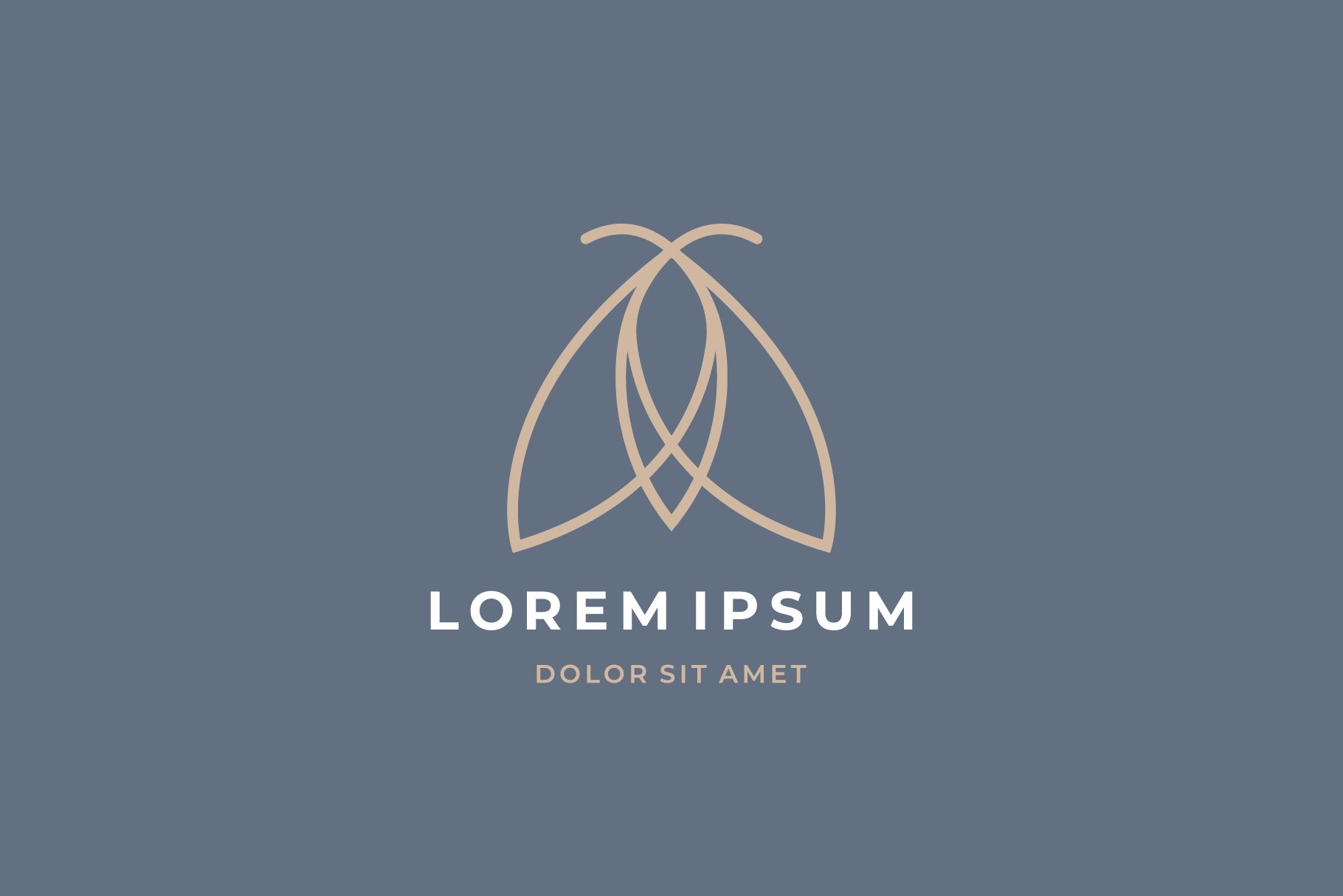 Moth logo. Modern line logotype., a Branding & Logo Template by lettett