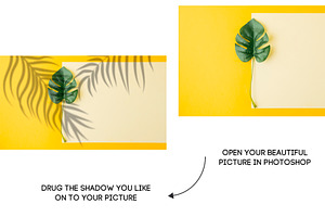 Tropical Shadow Overlays