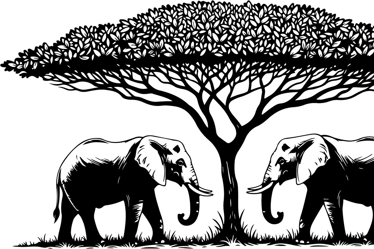 Wild Elephant Silhouette Set, an Illustration by jahid234 (Photo 7 of 21)