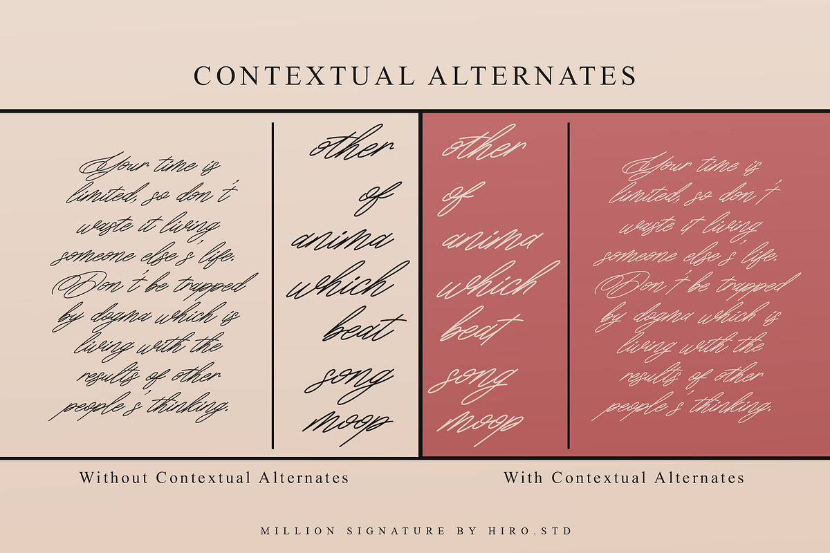 Million Signatures Font, a Script Font by HIRO.std (Photo 7 of 10)