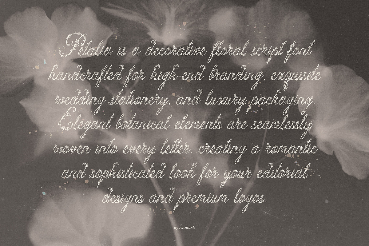 Petalia Decorative Floral Font, a Script Font by AnMark (Photo 8 of 11)