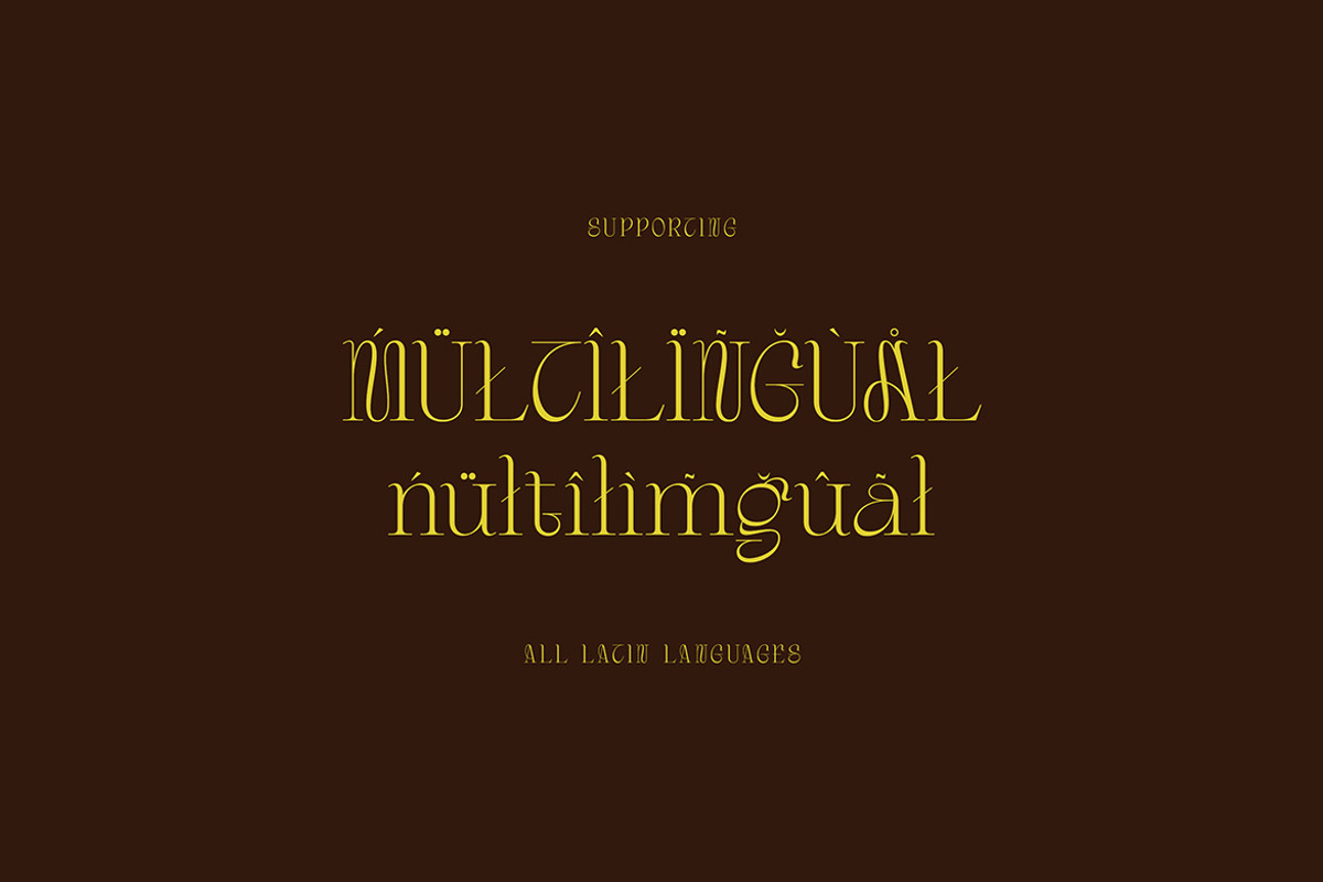 Gordon Tucker Stylish Serif, a Serif Font by Cruzine (Photo 6 of 8)