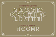 Mcstaco, a Symbol Font by Vintage Division (Thumbnail 13 of 15)