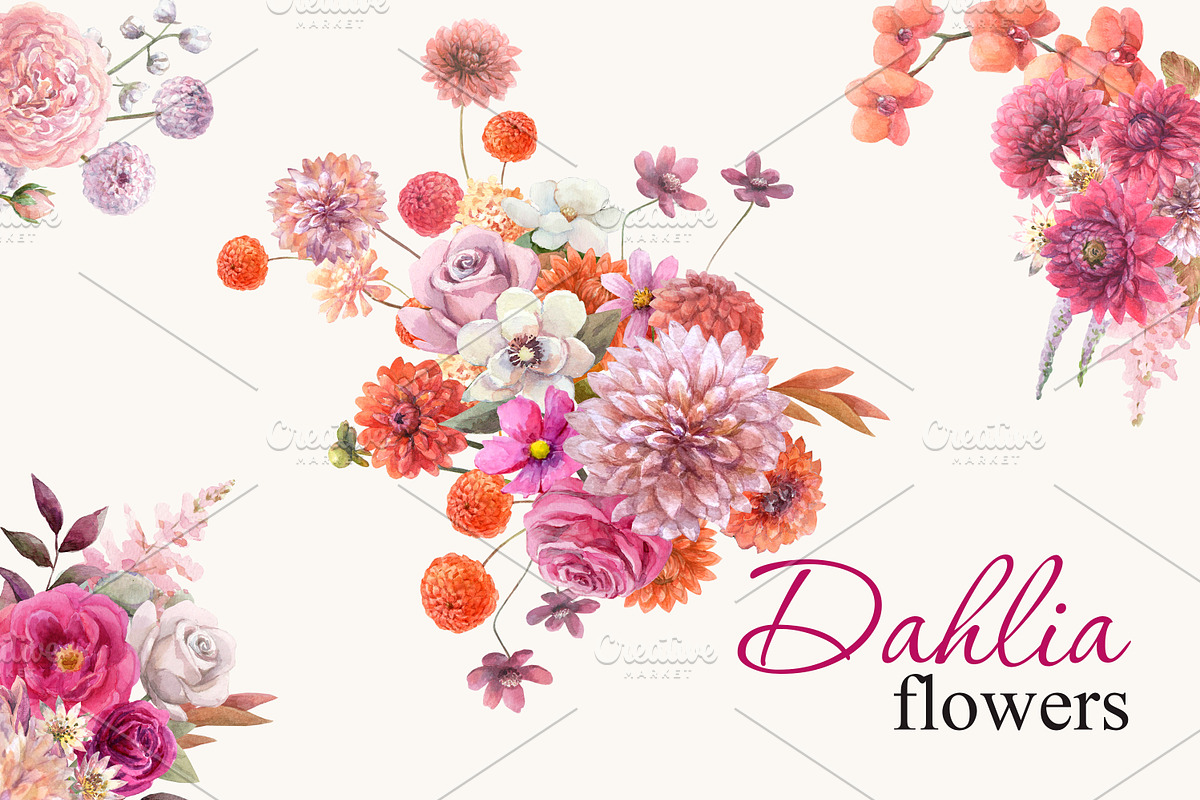 Magenta dahlia,watercolor flowers, an Illustration by yulia.sukhanova (Photo 1 of 5)