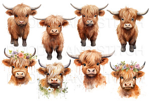 Watercolor Highland Cow Illustration