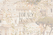 WILDER GARTEN delicate whimsy floral, a Decorative Illustration by January Bloom (Thumbnail 26 of 27)