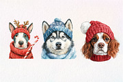 Dog Christmas Sublimation Clipart, an Illustration by Dream Creation (Thumbnail 7 of 7)