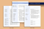 Clean Professional Resume Template, a Resume Template by VictoriousVita (Thumbnail 4 of 8)