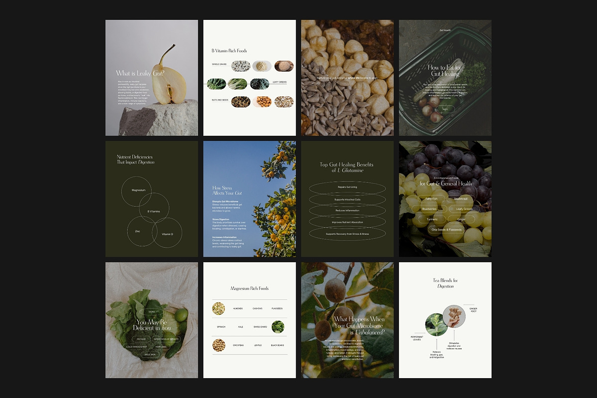 Gut Health Instagram Template, a Social Media Template by Terraa Studio Design (Photo 7 of 10)