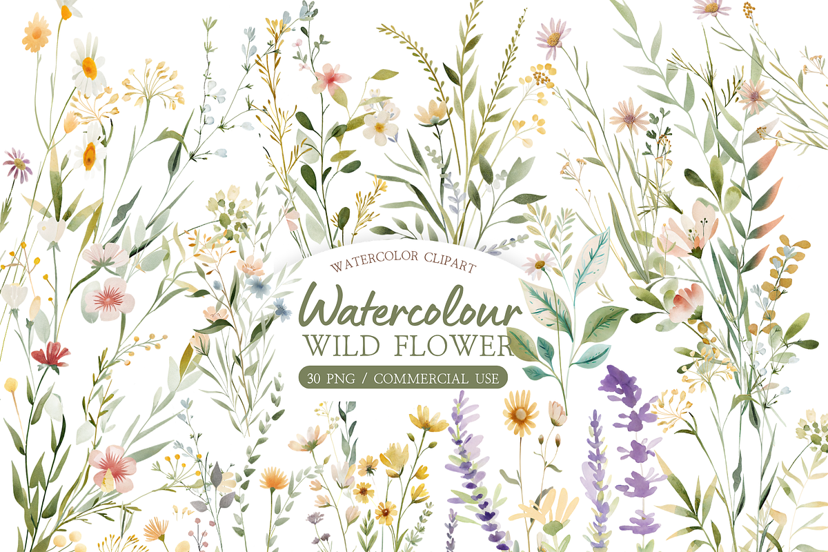 Watercolor Wildflower Clipart Bundle, an Illustration by MockupWizard (Photo 1 of 5)