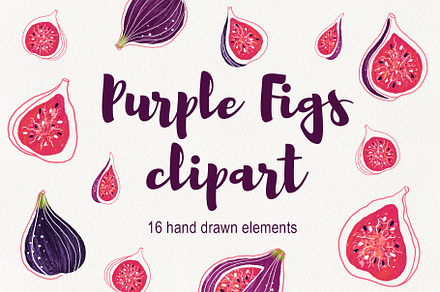Purple Figs clipart