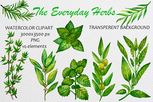 Watercolor everyday green herbs set